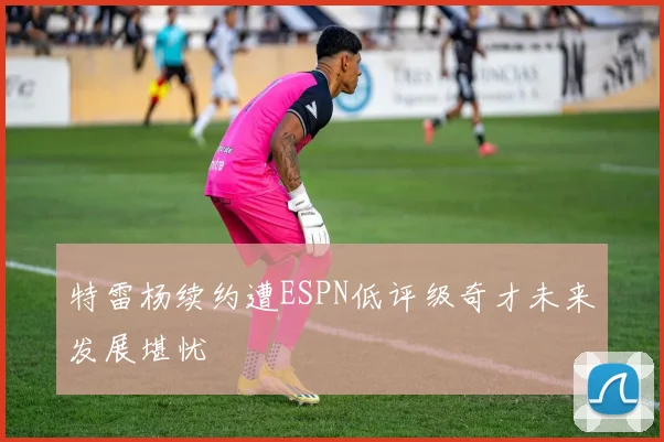 特雷杨续约遭ESPN低评级奇才未来发展堪忧