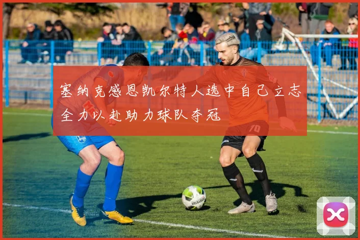 塞纳克感恩凯尔特人选中自己立志全力以赴助力球队夺冠