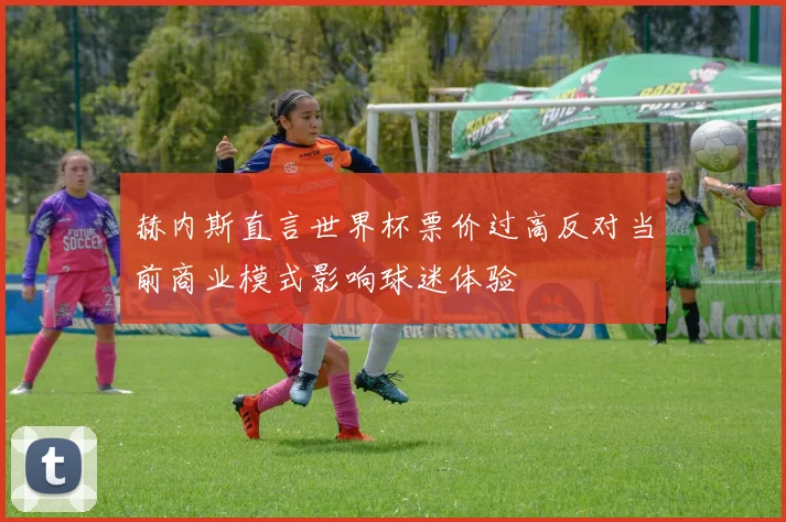 赫内斯直言世界杯票价过高反对当前商业模式影响球迷体验